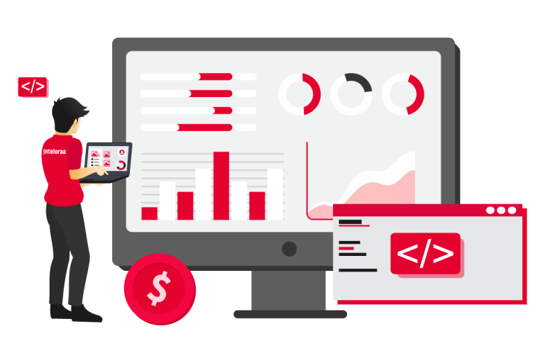 Custom Software Cost
